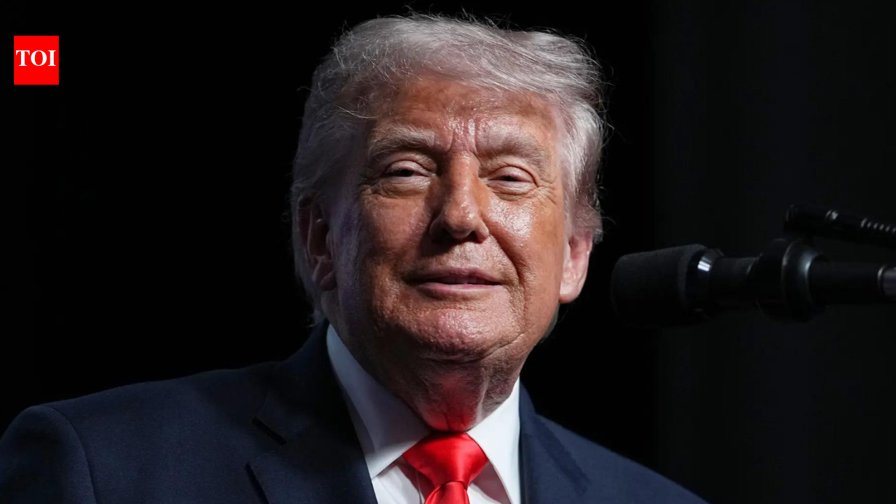 Trump likens US Navy to 'pirates' in Iran blockade, calls ship seizures 'profitable'