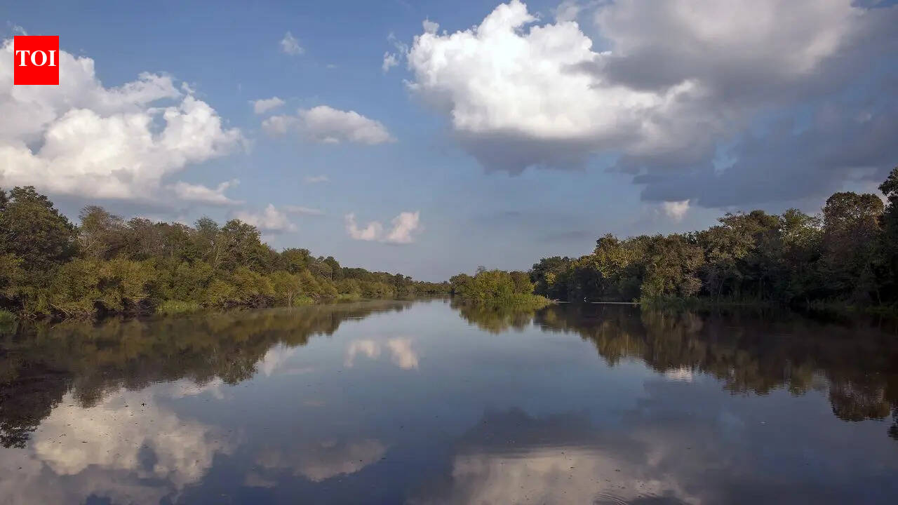 World’s massive Mississippi River shockingly reversed its flow during Hurricane Isaac in 2012 in the United States: Scientists explain what happened