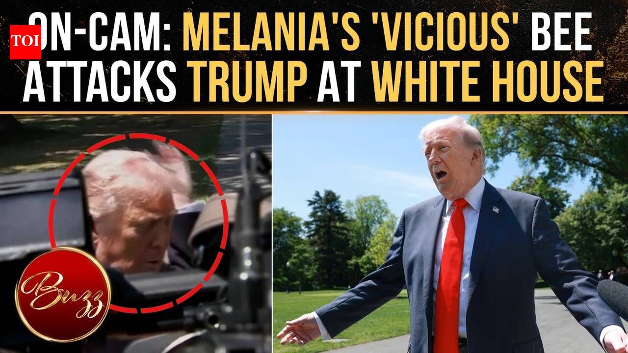 VIRAL: Trump Interrupted By 'Vicious Bee' During White House Briefing ...