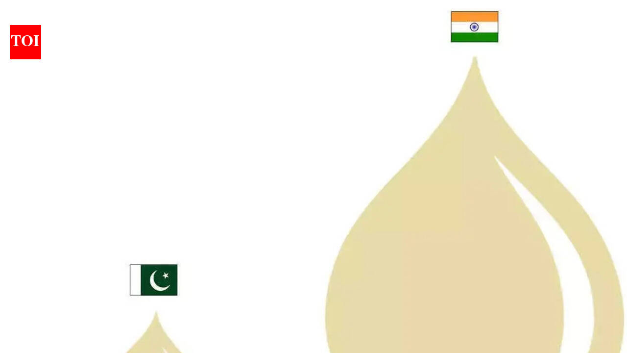 Trump once said Pakistan could sell oil to India. Here’s the truth