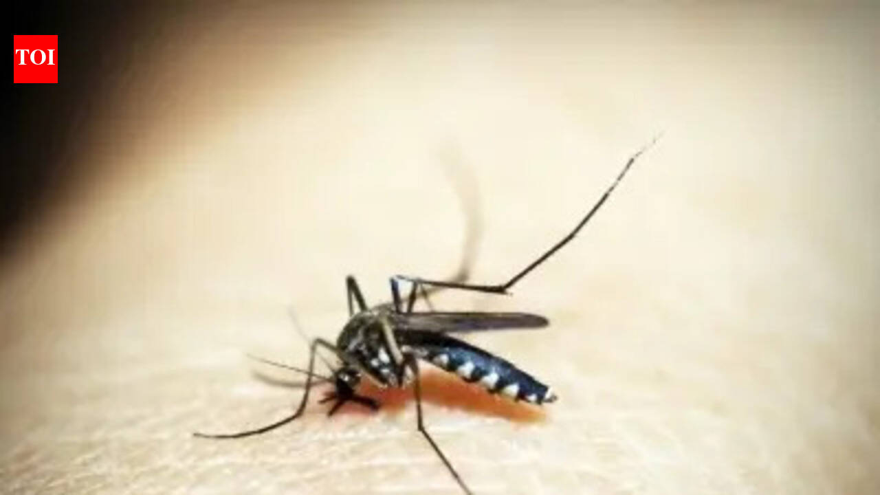 The malaria map: How a 74,000-year war with a tiny parasite forced humanity to rearrange the world
