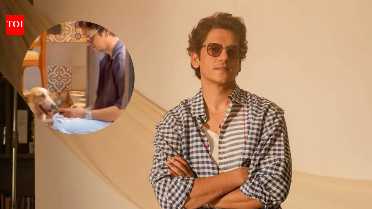 'Matka King' star Vijay Varma reacts hilariously as NDMA emergency alert startles him and his dog: 'The world is not ending yet'