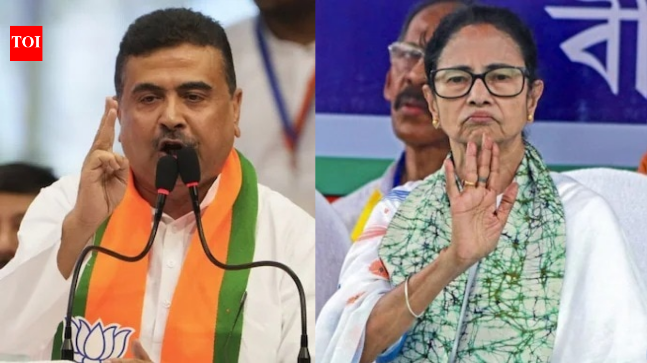 West Bengal assembly election 2026: Mamata under pressure, BJP on the rise, SIR in focus - explained in 10 charts