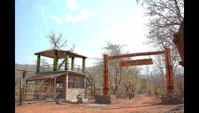 Jungle safari through forests, waterfalls and 21 river crossings begin at Bhoramdeo wildlife sanctuary