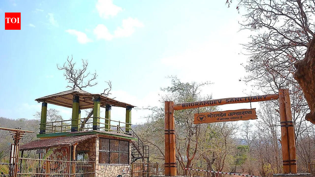 Jungle safari through forests, waterfalls and 21 river crossings begin at Bhoramdeo wildlife sanctuary
