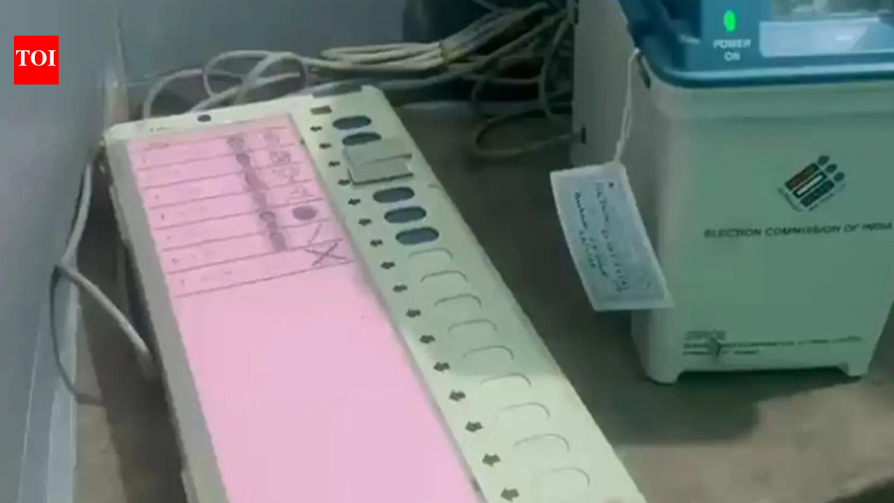 'Subversion of democratic process': EC orders fresh polling in West Bengal's Falta on May 21