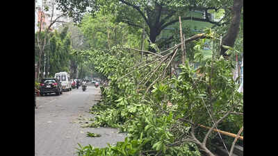 50kmph thunderstorm, showers lash Kolkata, pull down mercury