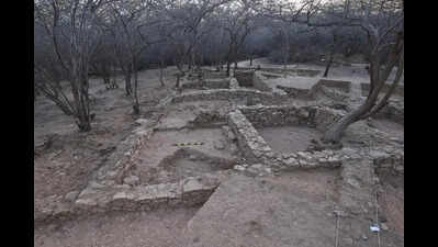 ASI finds evidence of ancient maritime trade at Bet Dwarka