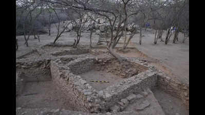 ASI finds evidence of ancient maritime trade at Bet Dwarka
