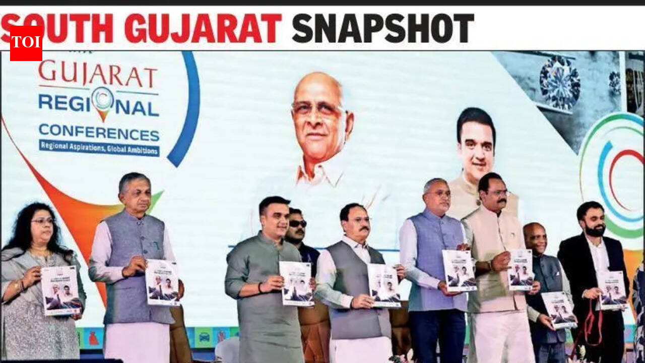 South Gujarat VGRC draws 3.55L crore in investment intent