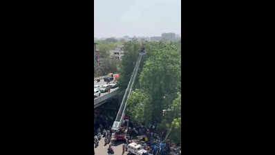 Ahmedabad: Youth climbs tree near Jamalpur flyover, triggers hour-long rescue operation