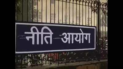 2 名学者将加入 Niti Aayog