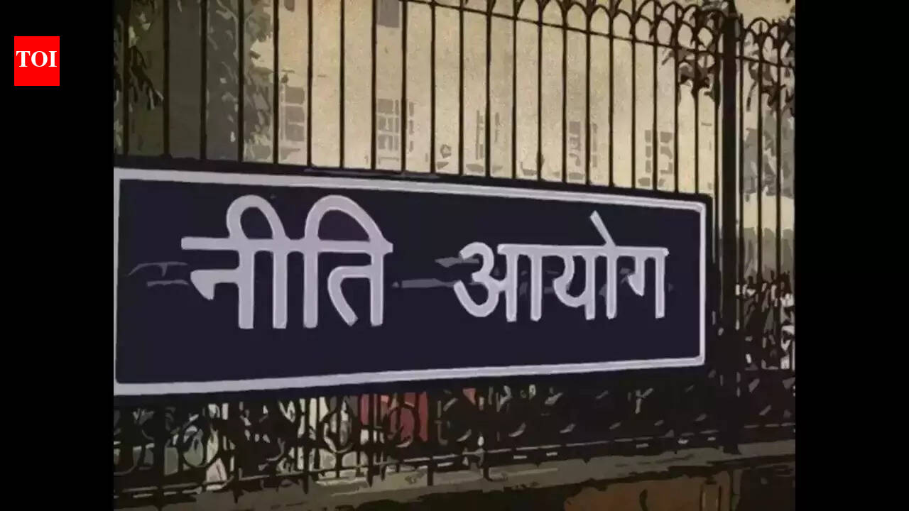 Niti Aayog revamp: Centre names 2 academics; PM cites ‘rich experience’