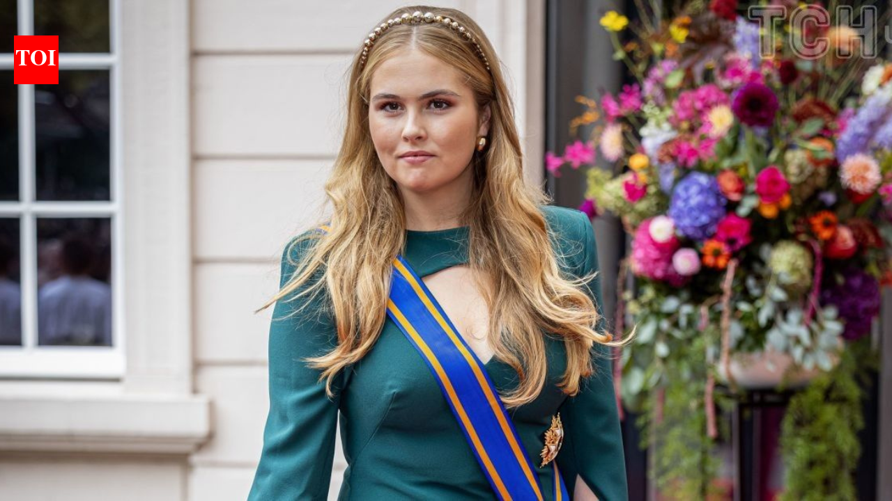 Dutch future Queen in danger: Man with Nazi-engraved axes held for targeting Princess of Orange