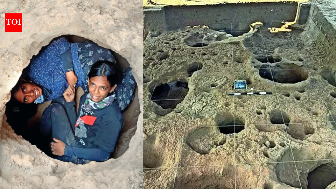 Found near Tamil Nadu's Kovai: 'Pit houses' that stored grain, protected people 3,500 years ago