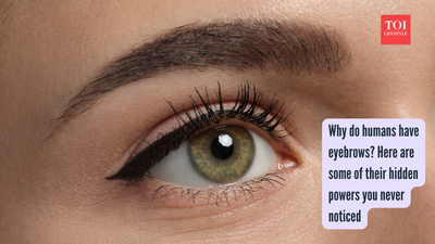 Why do humans have eyebrows? Here are some of their hidden powers you never noticed