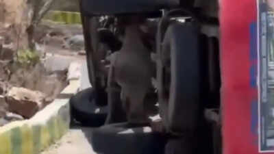 Bus overturns after driver suffers chest pain in Himachal Pradesh's Kangra; 24 injured