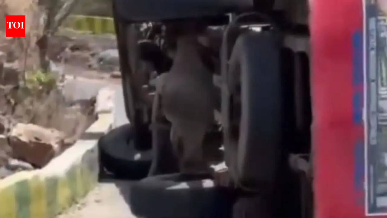 Bus overturns after driver suffers chest pain in Himachal Pradesh's Kangra; 24 injured