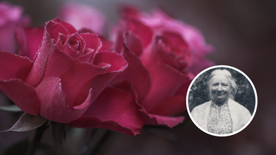 Parenting quote of the day by Ellen Key: ‘At every step the child should be allowed to meet the real experience of life; the thorns should never be plucked from his roses.’