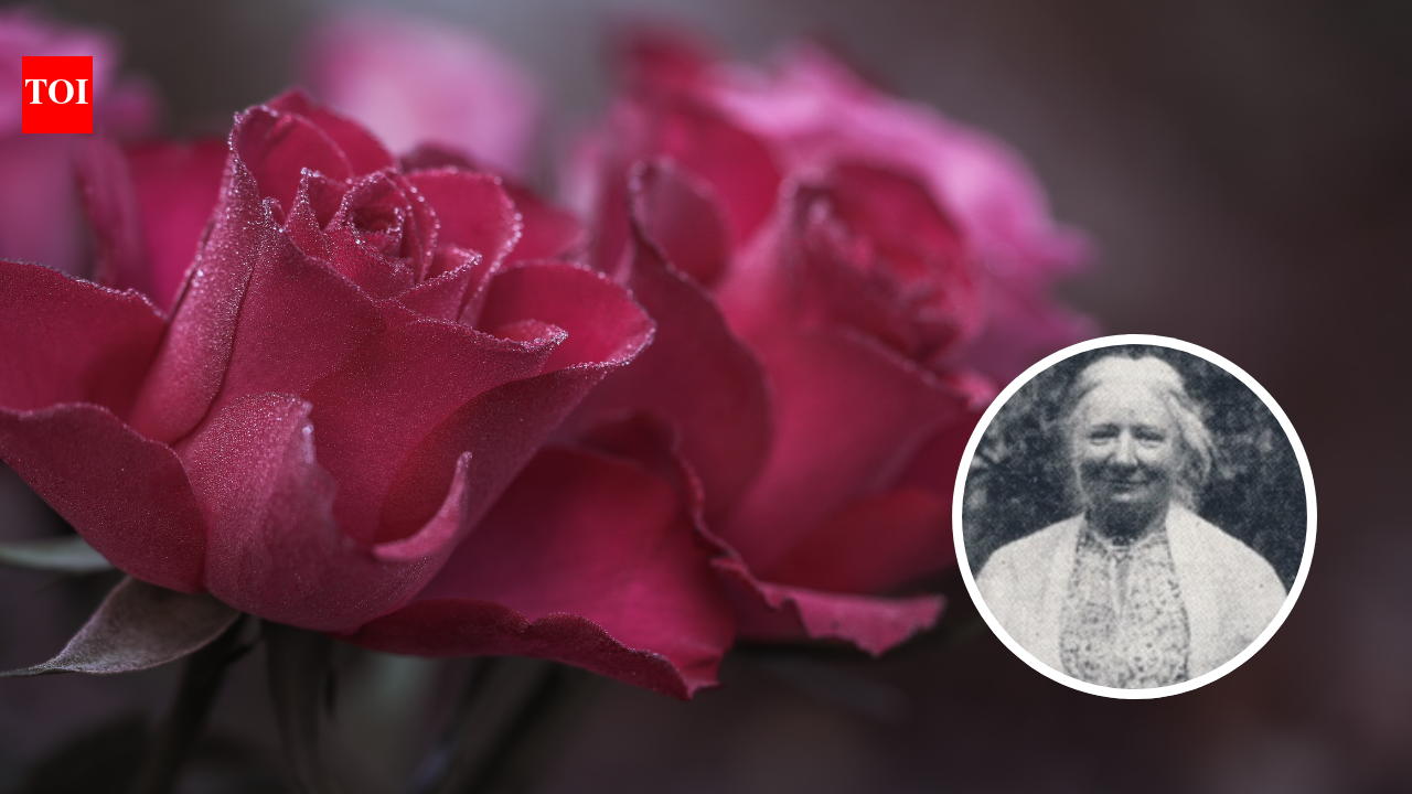 Parenting quote of the day by Ellen Key: ‘At every step the child should be allowed to meet the real experience of life; the thorns should never be plucked from his roses.’