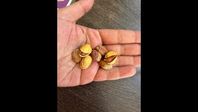 Iranian pistachios in short supply, price in Pune go up by 50%