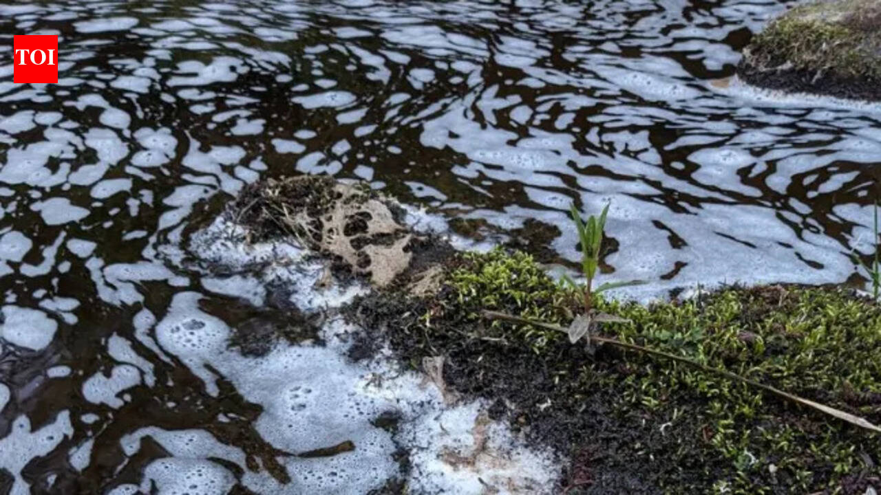Pollution Devastates River Spey: Suspected chemical spill kills fish and birds; probe targets industrial link