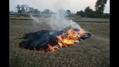 Spurt in farm fires across Punjab and Haryana