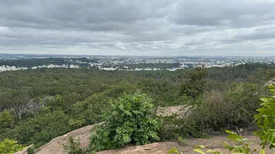 Bangalore Development Authority seeks resolution to Turahalli forest buffer zone deadlock