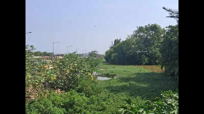 Neglected canal along Ennore High Road in city raises flood risk