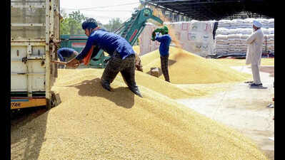 Wheat procurement nears completion, lifting lags at 56%