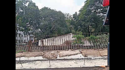 Greenery Pays The Price Amid Bigger Push For Infra