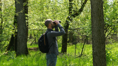 <u></u>Crowdfunding helps Serbian birdwatchers save woodland” title=”</p><p>Nightingale’s Forest is a rare patch of thick in the farming region</p><p>” decoding=”async” fetchpriority=”high”/></p></div></div></div><div class=