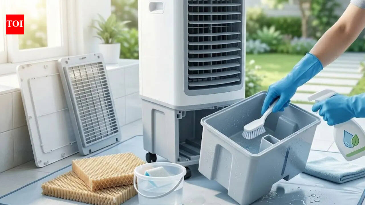 How to clean an air cooler: Effective ways to get rid of smelly water and bacteria