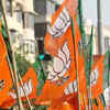 Mother of Rape Victim Defies TMC in Panihati as Bengal Votes