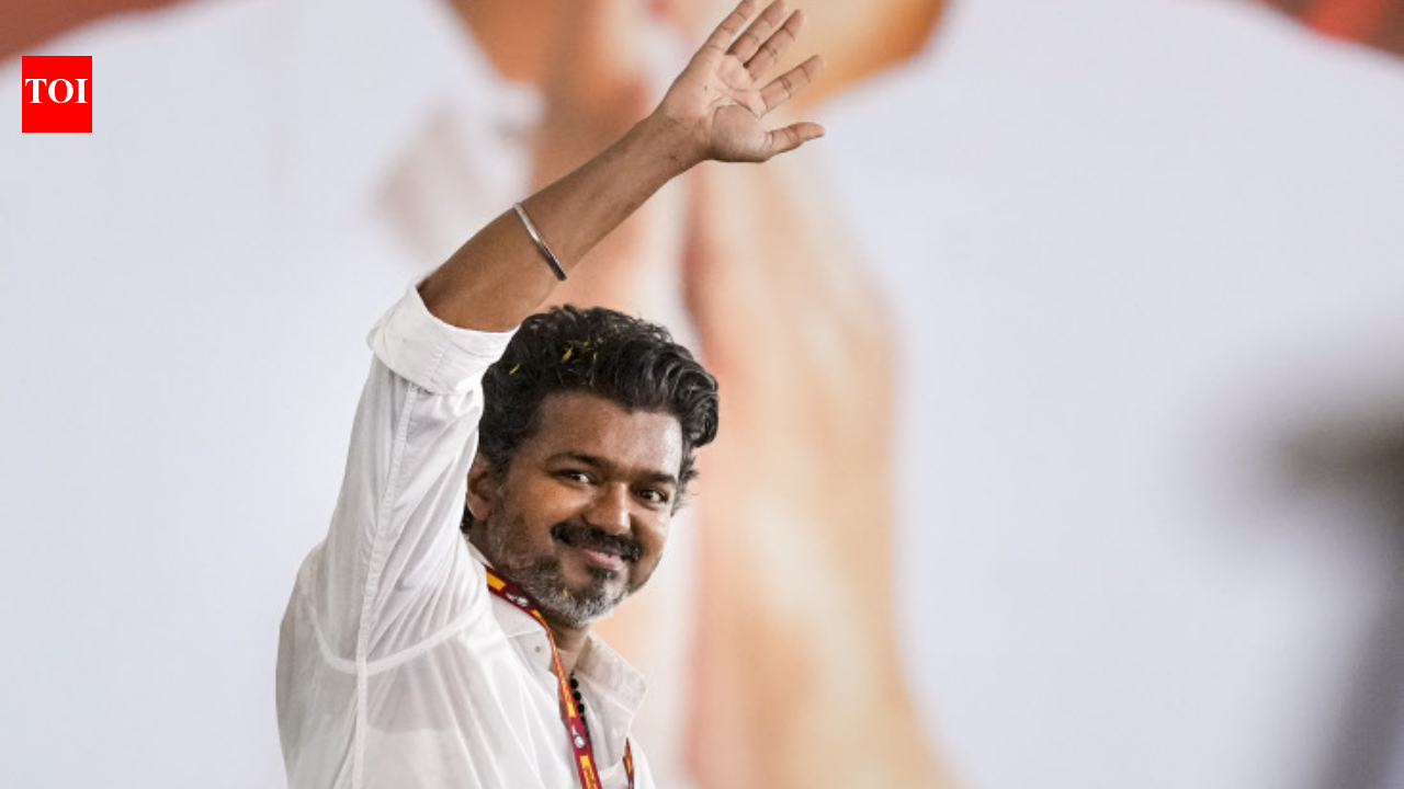 Vijay’s TVK party emerges as formidable force in Tamil Nadu; all you need to know about its journey