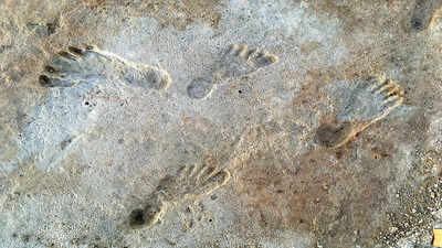 In 2021, researchers scanning a New Mexico lakebed found 23,000-year-old human footprints that rewrote the oldest chapter of American history.