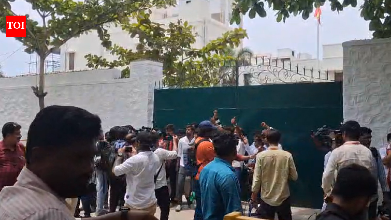 Tamil Nadu election results: Supporters rant 'chief minister Vijay' as TVK takes lead