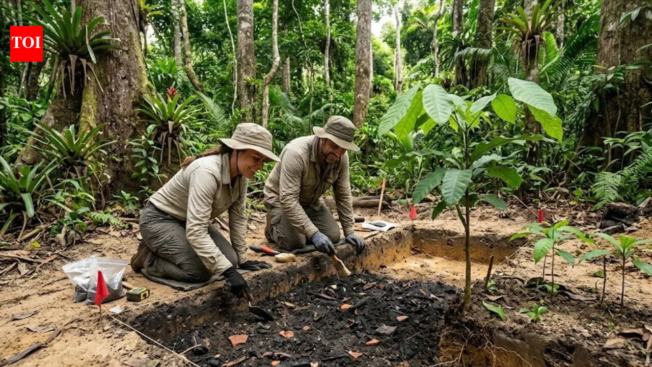 Scientists uncover 2,000-year-old Amazon ‘magic soil’ that boosts tree growth instantly