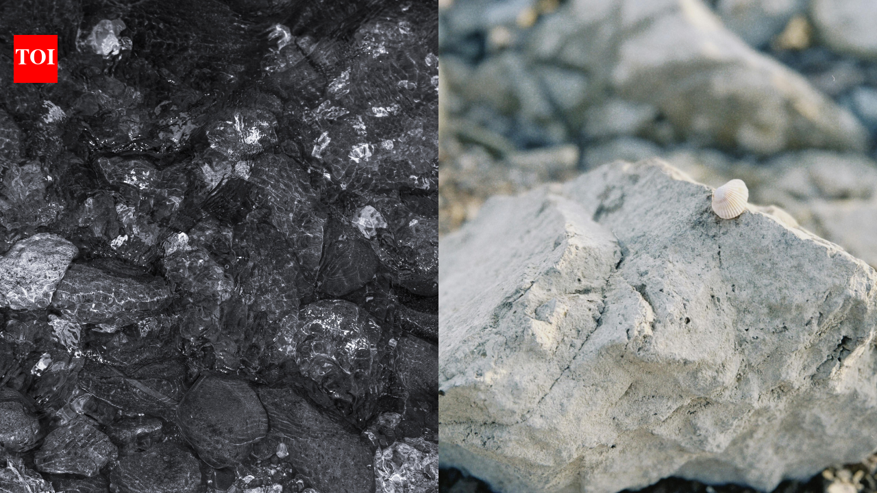 Earth’s origin mystery cracked? Meteorites may hold the secret to life’s ingredients