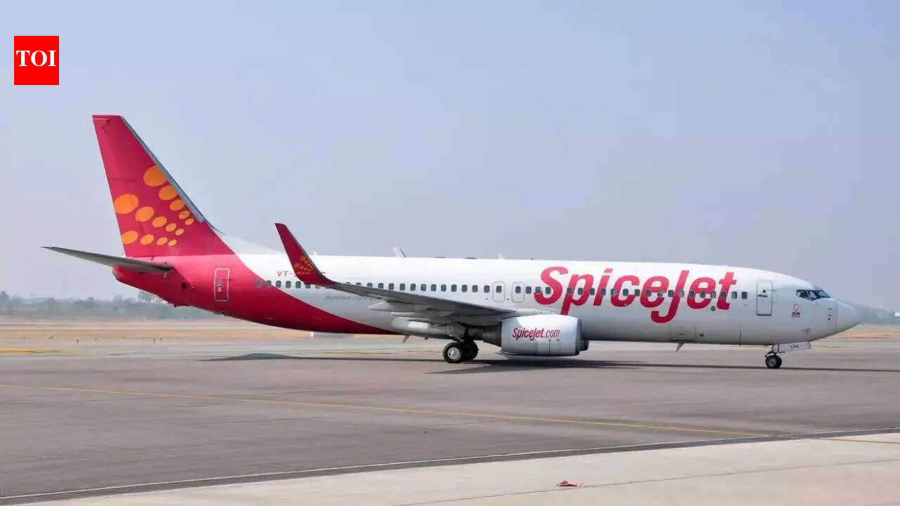 Delhi high court rejects SpiceJet's plea to review Rs 144 cr payment order in dispute with Kalanithi Maran