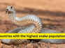 10 countries with the highest snake populations and what travellers must know before visiting