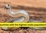 10 countries with the highest snake populations and what travellers must know before visiting