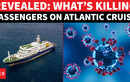 BRACE FOR THE WORST? How Is Hantavirus Killing Passengers Aboard Atlantic Cruise Ship | EXPLAINED