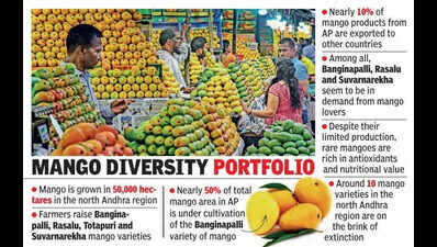 Rare mango varieties vanish in north Andhra over poor market potential