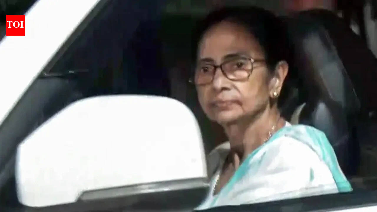 'Immoral, illegal': Mamata Banerjee alleges BJP 'looted' more than 100 seats; vows to 'bounce back'