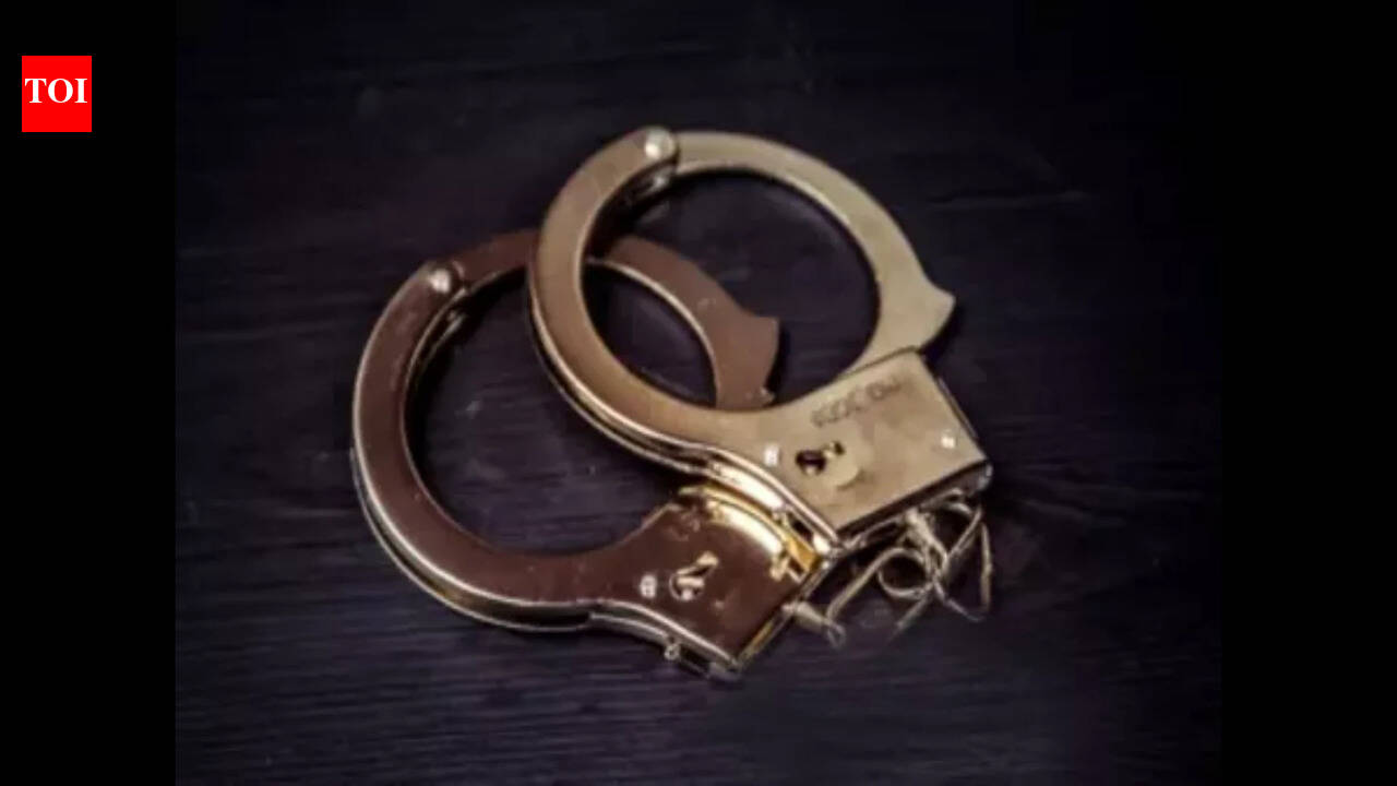 Bicholim police arrest driver in hit-and-run case