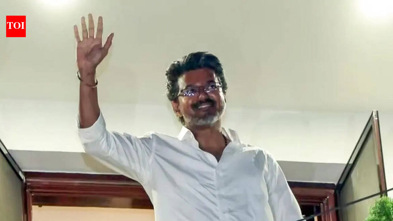 From Delhi to TN: How Vijay drew voters south