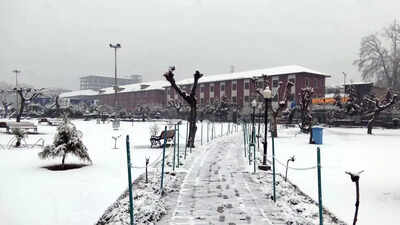 Mercury plunges as snow, rains hit Kashmir, Himachal & Uttarakhand | India News – The Times of India