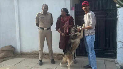 Husky case: Three more dogs, including German Shepherd, rescued