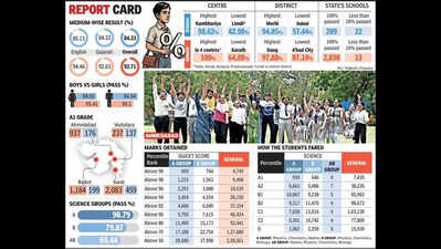 Gujarat board Class 12 results: At 84.33%, science stream pass rate at 11-year high